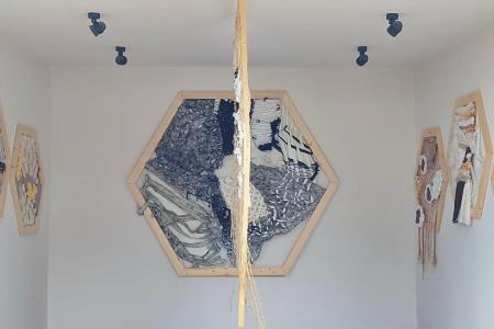 Diploma: Vida Markovc, »Sanjski čebelnjak«